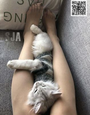 午夜啪啪剧场