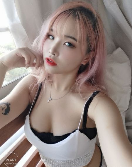 电视剧《我是刑警》免费观看全集