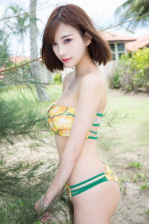 灰影人2