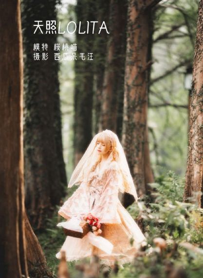 妈妈的职业中文